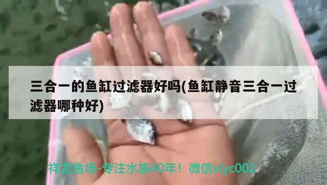 三合一的鱼缸过滤器好吗(鱼缸静音三合一过滤器哪种好)