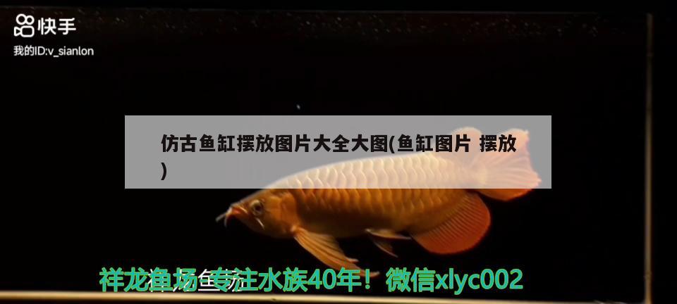 仿古鱼缸摆放图片大全大图(鱼缸图片摆放) 水族灯（鱼缸灯）