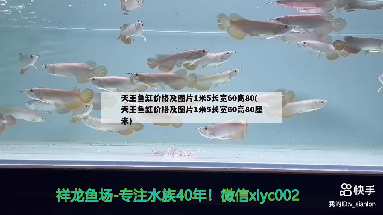 天王鱼缸价格及图片1米5长宽60高80(天王鱼缸价格及图片1米5长宽60高80厘米)