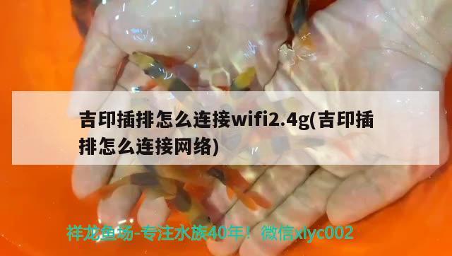 吉印插排怎么连接wifi2.4g(吉印插排怎么连接网络)