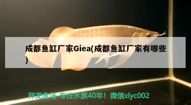 成都鱼缸厂家Giea(成都鱼缸厂家有哪些) 祥龙龙鱼专用水族灯