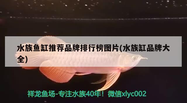 水族鱼缸推荐品牌排行榜图片(水族缸品牌大全)