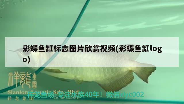 彩蝶鱼缸标志图片欣赏视频(彩蝶鱼缸logo) 雪龙鱼