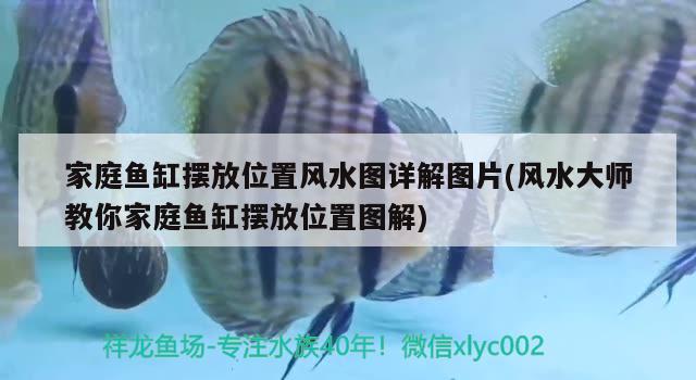 家庭鱼缸摆放位置风水图详解图片(风水大师教你家庭鱼缸摆放位置图解) 鱼缸风水