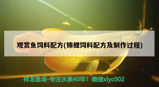 观赏鱼饲料配方(锦鲤饲料配方及制作过程) 新加坡号半红龙鱼（练手级红龙鱼）