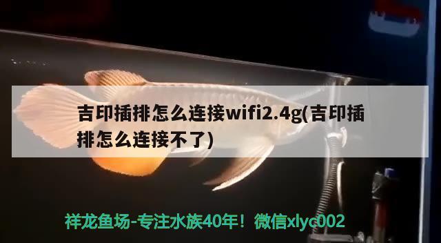 吉印插排怎么连接wifi2.4g(吉印插排怎么连接不了)