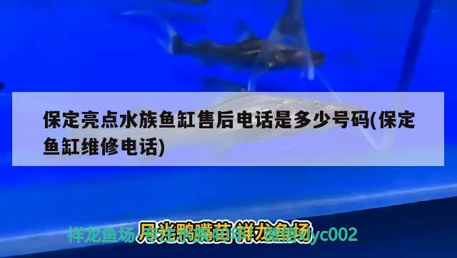 保定亮点水族鱼缸售后电话是多少号码(保定鱼缸维修电话)