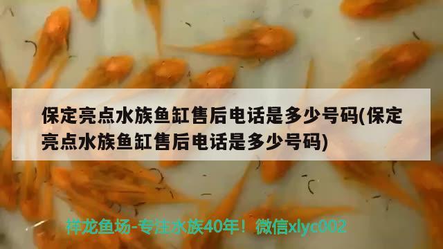 保定亮点水族鱼缸售后电话是多少号码(保定亮点水族鱼缸售后电话是多少号码)