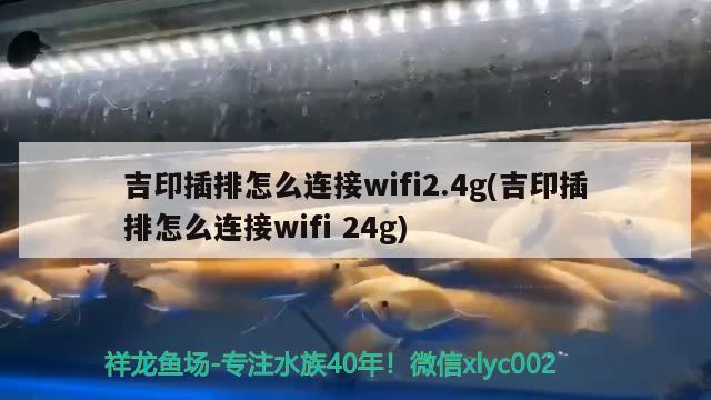 吉印插排怎么连接wifi2.4g(吉印插排怎么连接wifi24g)