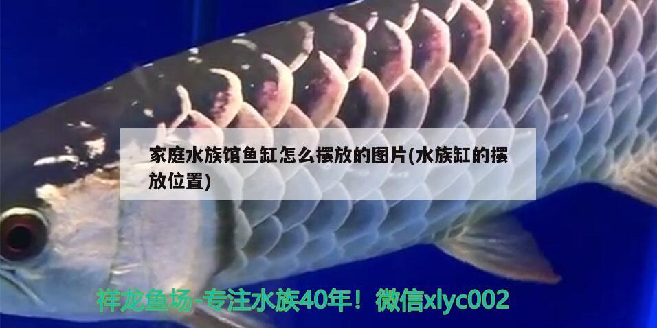 家庭水族馆鱼缸怎么摆放的图片(水族缸的摆放位置)