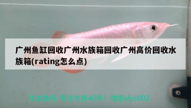 广州鱼缸回收广州水族箱回收广州高价回收水族箱(rating怎么点)