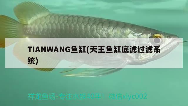 TIANWANG鱼缸(天王鱼缸底滤过滤系统)