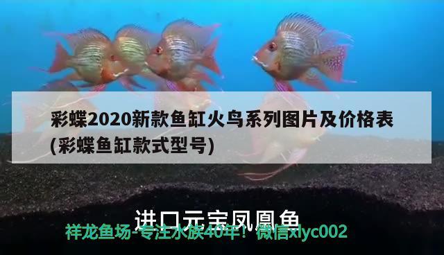 彩蝶2020新款鱼缸火鸟系列图片及价格表(彩蝶鱼缸款式型号)