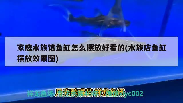 家庭水族馆鱼缸怎么摆放好看的(水族店鱼缸摆放效果图)