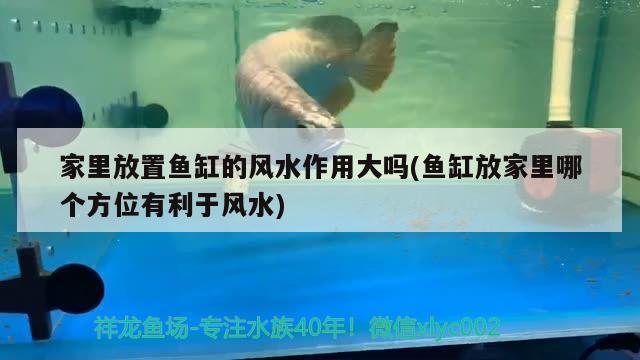 家里放置鱼缸的风水作用大吗(鱼缸放家里哪个方位有利于风水)