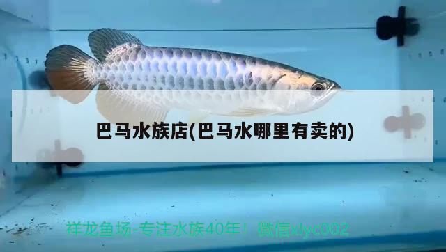 巴马水族店(巴马水哪里有卖的)