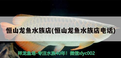 恒山龙鱼水族店(恒山龙鱼水族店电话)