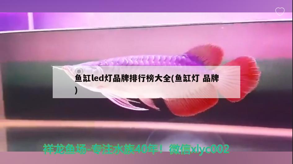 鱼缸led灯品牌排行榜大全(鱼缸灯品牌) 龙鱼专用灯