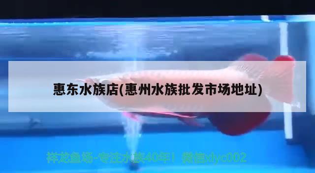 惠东水族店(惠州水族批发市场地址)