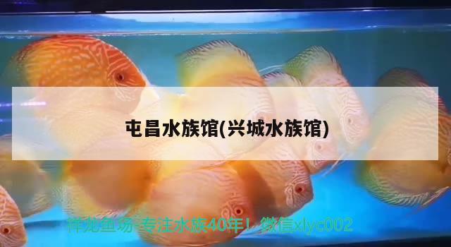 屯昌水族馆(兴城水族馆)