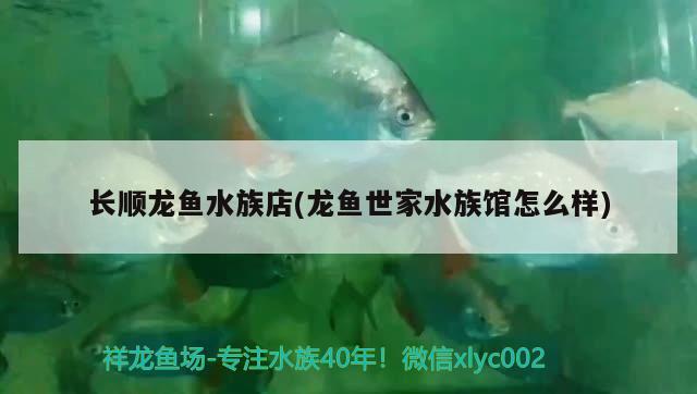 长顺龙鱼水族店(龙鱼世家水族馆怎么样)