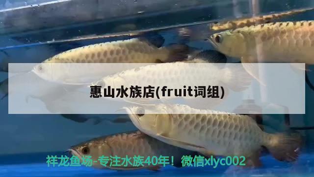 惠山水族店(fruit词组) 南美异型鱼