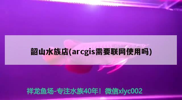 韶山水族店(arcgis需要联网使用吗) 七彩神仙鱼