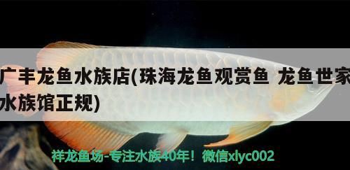 广丰龙鱼水族店(珠海龙鱼观赏鱼龙鱼世家水族馆正规) 水族品牌