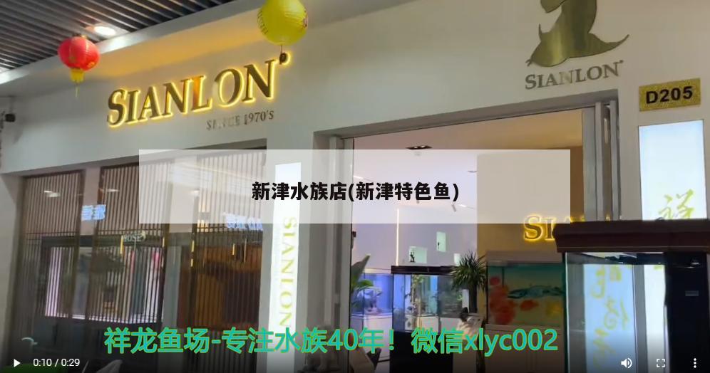 新津水族店(新津特色鱼)