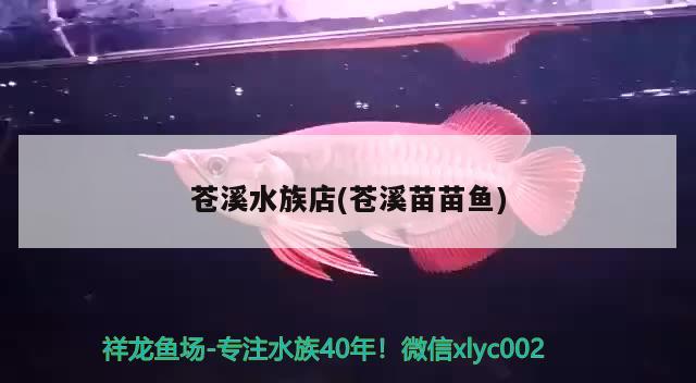 苍溪水族店(苍溪苗苗鱼)