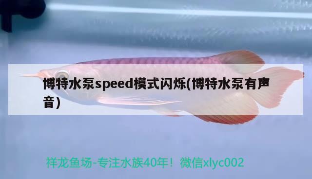 博特水泵speed模式闪烁(博特水泵有声音)