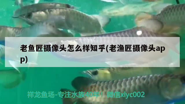 老鱼匠摄像头怎么样知乎(老渔匠摄像头app) 老鱼匠