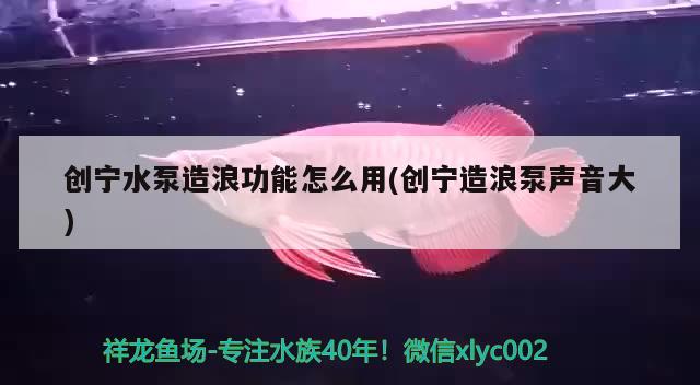 创宁水泵造浪功能怎么用(创宁造浪泵声音大) 创宁水族