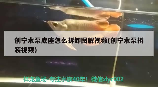 创宁水泵底座怎么拆卸图解视频(创宁水泵拆装视频)