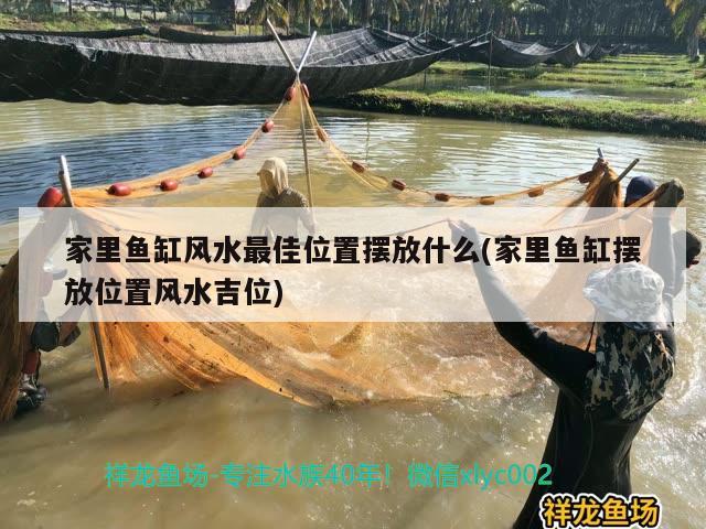 家里鱼缸风水最佳位置摆放什么(家里鱼缸摆放位置风水吉位) 鱼缸风水