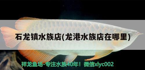 石龙镇水族店(龙港水族店在哪里) 铁甲武士