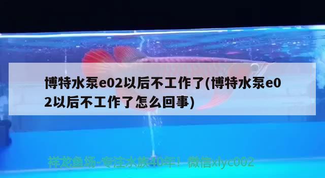 博特水泵e02以后不工作了(博特水泵e02以后不工作了怎么回事)