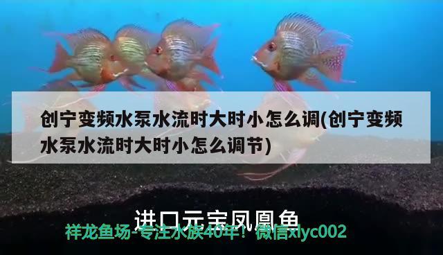 创宁变频水泵水流时大时小怎么调(创宁变频水泵水流时大时小怎么调节)