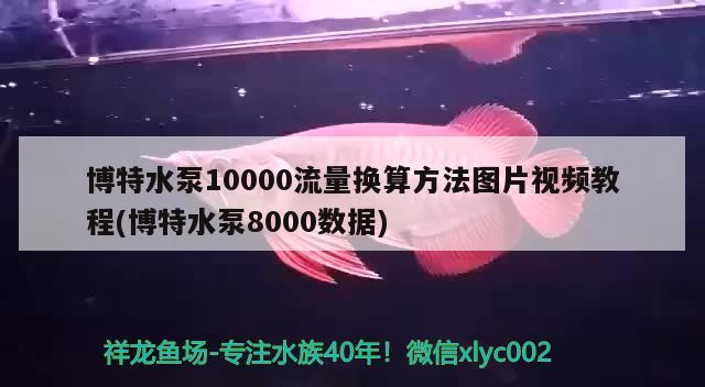 博特水泵10000流量换算方法图片视频教程(博特水泵8000数据) 博特水族