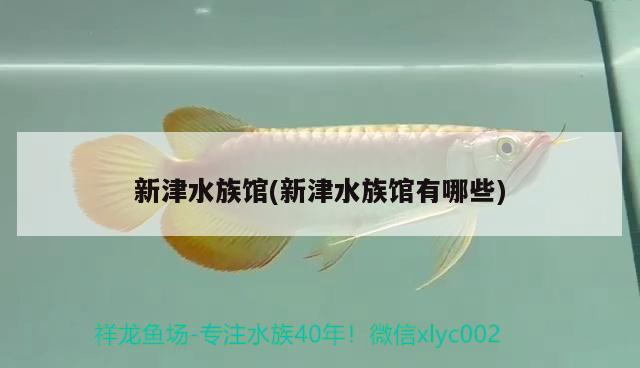 新津水族馆(新津水族馆有哪些)