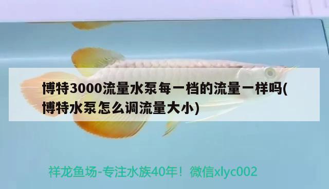 博特3000流量水泵每一档的流量一样吗(博特水泵怎么调流量大小) 博特水族