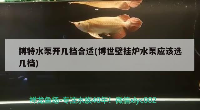 博特水泵开几档合适(博世壁挂炉水泵应该选几档)