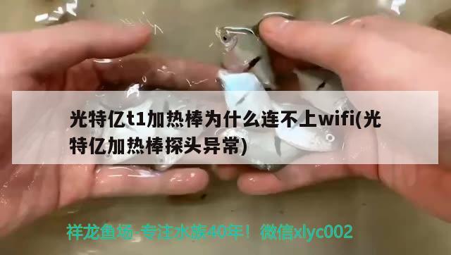 光特亿t1加热棒为什么连不上wifi(光特亿加热棒探头异常) 光特亿