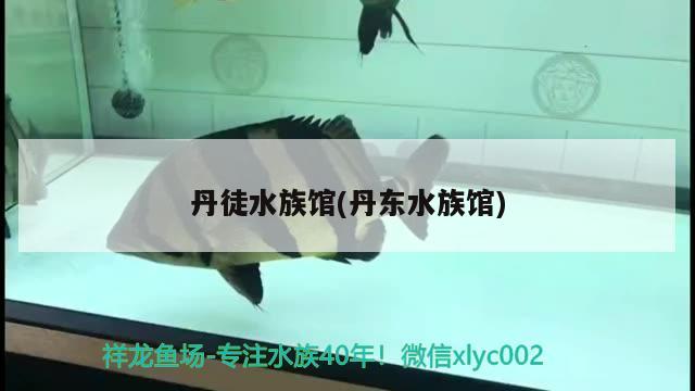 丹徒水族馆(丹东水族馆)