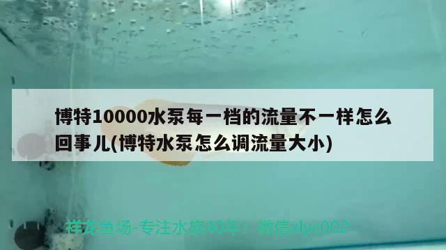 博特10000水泵每一档的流量不一样怎么回事儿(博特水泵怎么调流量大小)