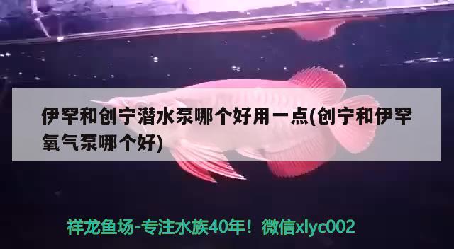 伊罕和创宁潜水泵哪个好用一点(创宁和伊罕氧气泵哪个好)