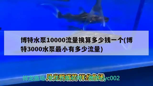 博特水泵10000流量换算多少钱一个(博特3000水泵最小有多少流量) 博特水族