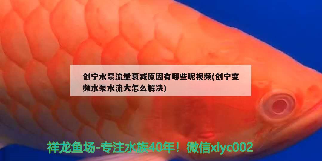 创宁水泵流量衰减原因有哪些呢视频(创宁变频水泵水流大怎么解决)