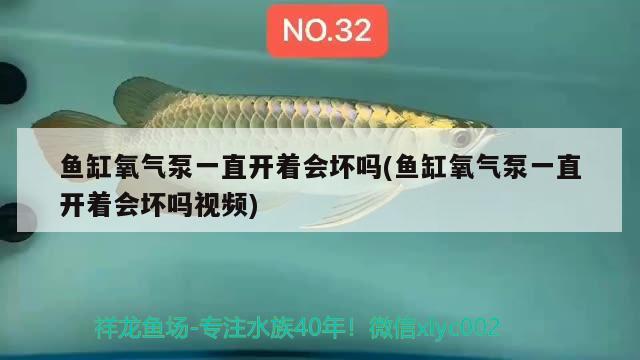 鱼缸氧气泵一直开着会坏吗(鱼缸氧气泵一直开着会坏吗视频) 水草