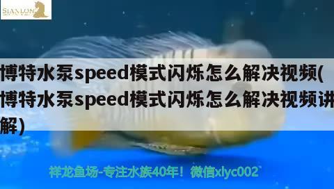 博特水泵speed模式闪烁怎么解决视频(博特水泵speed模式闪烁怎么解决视频讲解)